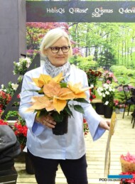 Helle Graff prezentuje poinsecję Q-ismas Oak_IPM Essen 2019