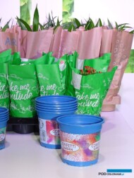 Papierowe opakowania na rośliny oraz doniczki z recyklingu to trendy "antyplastikowe" _IPM Essen 2019