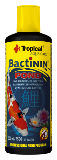 Tropical bactinin pond