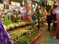 Szeroka oferta atrakcyjnie prezentowanych ziół spółki Vigo Gerolamo_Myplant and Garden 2019