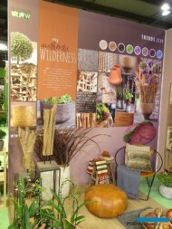 Trend_Wilderness_My Plant and Garden 2019