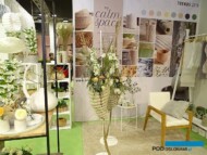 Trend_My Calm Space_Myplant and Garden 2019