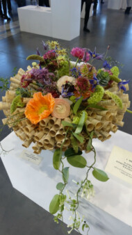 „Bukiet dla rektora” autorstwa Pawła Łuczaka – 1. miejsce w swojej kategorii