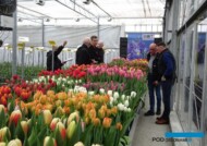 Tulip Trade Event 2019_BOT Flowerbulbs