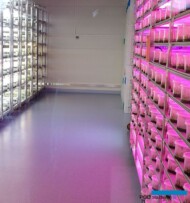 Fitotron_nowe laboratorium in vitro_Plantin 2019