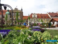 Pokazowe ogrody_Daisy-Days-2019