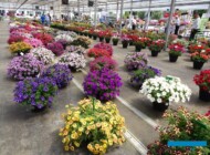 _Dni Otwarte Plantpol 2019