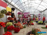 _Dni Otwarte Plantpol 2019