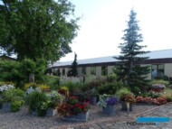 Vitroflora 2019_Jedna z zewnętrznych kolekcji roslin