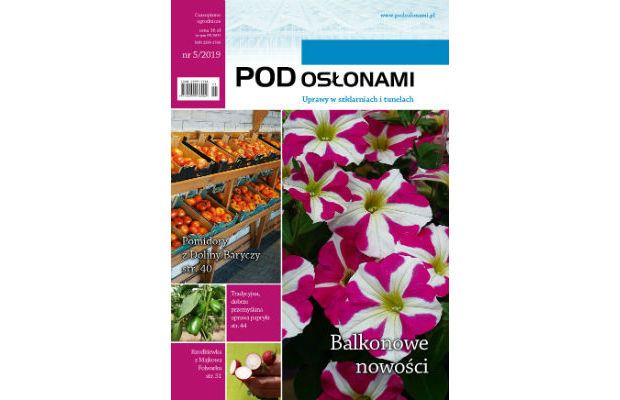 Czasopismo Pod Osłonami 5 2019