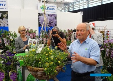 Wim Snoeijer, hodowca ze szkółki J. van Zoest BV i jego powojnik Little Lemons, uznany za najlepszą konkursową nowość Plantarium 2019, fot. A. Cecot 