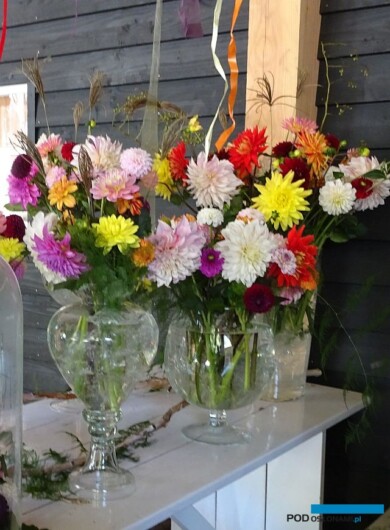 Holland Dahlia Event_2019