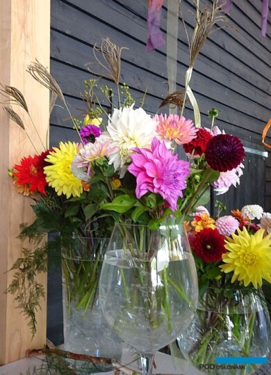 Holland Dahlia Event_2019