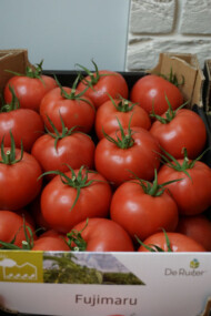 Pomidor malinowy Fujimaru