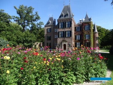 Holland Dahlia Event 2019 w parku przy Zamku Keukehof, fot. A. Cecot