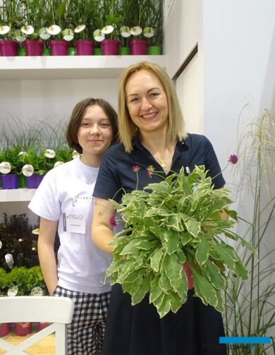 Katarzyna Radzis z córką Małgorzatą i jedna z nowości w ofercie jej szkółki: Knautia 'Thunder and Lightning'_Zielen to Zycie 2019