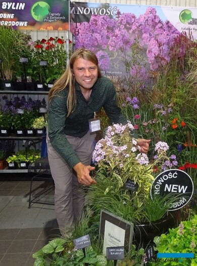 Przemysław Godlewski ze szkółki "Ogrody o zielonych progach" i jego hodowli, wyróżniony w Konkursie Roślin - Nowości floks wiechowaty ‘Warsaw Sunrise’ o żółto-zielonych liściach i mocno pachnących kwiatach