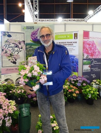 Didier-Boos_HW2_Hydrangea-French Bolero