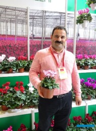 Abdullah-Okul_Gaye Süs Bitkileri_Cyclamen-Super Serie-Verano_Flower-Show-Istanbul 2019