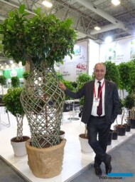 Fikret-Arik_Maki Plants_Ficus-benjamina__Flower-Show-Istanbul 2019