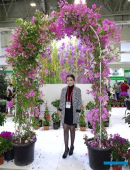 Berisu-Oguz_Seraflora_Bougainvillea__Flower-Show-Istanbul 2019