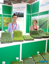 Suleyman-Batuhan-Ozdemir_Gulseren-Karaca_Yalova-Fide__Flower-Show-Istanbul 2019