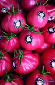 Malinowe owoce Rosamundy wyróżniają się kształtem i smakiem