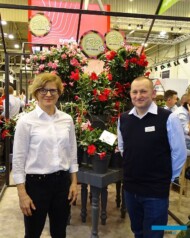 Ewa Langer i Bartlomiej Pierzchalski na stoisku firmy Syngenta Flowers (w tle mandewile - odmiany z grupy Rio)_IPM Essen 2020