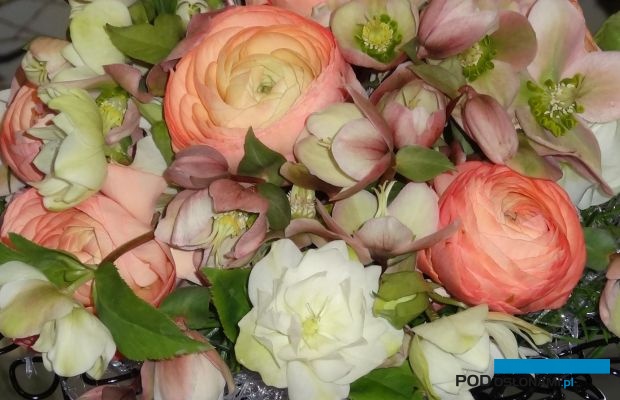 Konkurs dla Kwiaciarń będzie jedną z atrakcji targów Special Days w Poznaniu