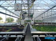 Podlewanie za pomocą samojezdnego ramienia_Vitroflora