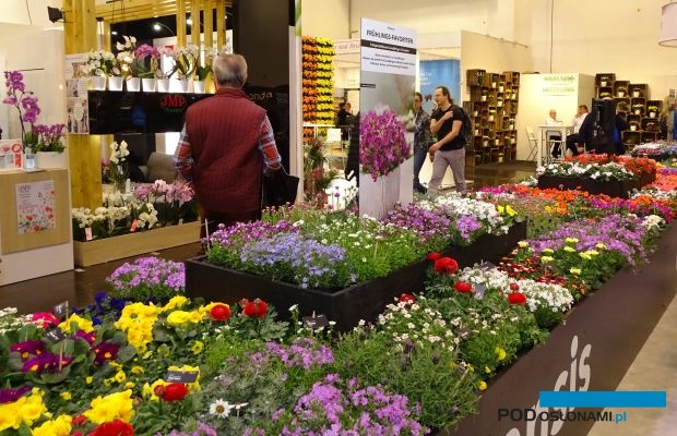 Targi IPM Essen, jak zwykle otworzyły wiosenny sezon w międzynarodowej branży roślin ozdobnych