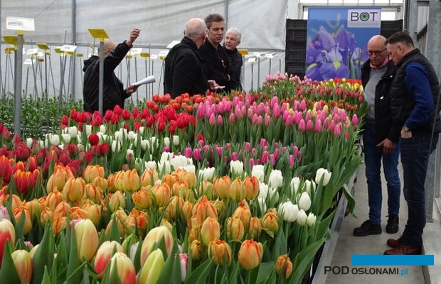 Tulip Trade Event 2019