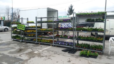 Tak pod koniec ubiegłego tygodnia przedstawiała się sytuacja na giełdzie w Kielcach - jeden sprzedający i brak chętnych na zakupy 