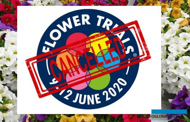 Odwołano tegoroczne FlowerTrials - najważniejsze europejskie wydarzenie w sektorze roślin balkonowo-rabatowych