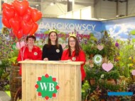 "Walentynkowa" ekspozycja szkółki bylin Barcikowscy_Gardenia 2020
