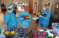 "Od ogrodników dla medyków" - pierwiosnki przekazane pracownikom szpitala jako wyraz wsparcia podziękowania za ich pracę
