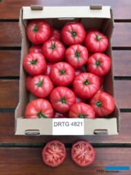 Pomidor malinowy DRTG4821