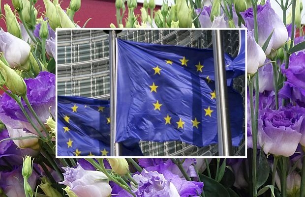 Parlament Europejski