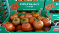 Pomidor Barteza