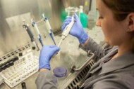 W laboratorium sprawdzana jest jakość biopreparatów, Intermag