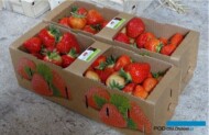 Owoce sprzedawane bezpośrednio z gospodarstwa są oferowane w efektownych opakowaniach