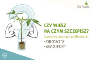 podkładki pomicora