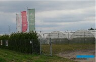 Plantacja OVOC Farma Owocowa