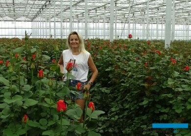Aneta Haba na swojej plantacji (3. dekada lipca br.), fot. A. Cecot