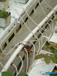 Instalacja do fertygacji oraz dokarmiania roślin dwutlenkiem węgla (czarny przewód)_Aneta-Haba