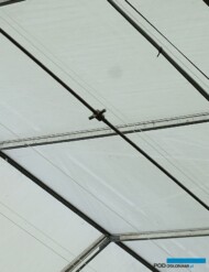 zamglawianie wysokocisnieniowe w szklarni_Aneta-Haba