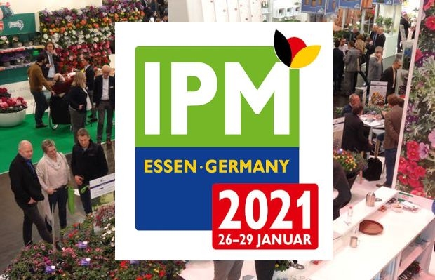 IPM Essen 2018, fot. A. Cecot