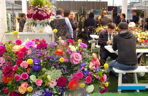 Targi IFTF oraz Trade Fair Aalsmeer (które odbywały się równocześnie - w dwóch lokalizacjach) w tym roku nie odbędą się; na zdjęciu - migawka z IFTF 2019, fot. A. Cecot