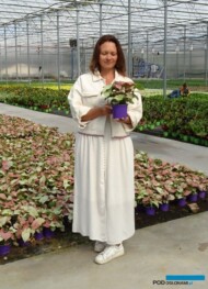 Agata Pągowska_Royal Plant_w nowym tunelu zblokowanym, w którym we wrześniu dominowały rośliny doniczkowe o ozdobnych liściach