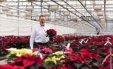 Jürgen Zwiehoff, zaprasza na Poinsecjowy Tydzień Online, fot. Dümmen Orange 